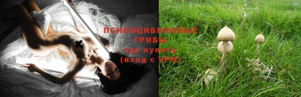 2c-b Вязники
