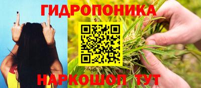 каннабис Дубна
