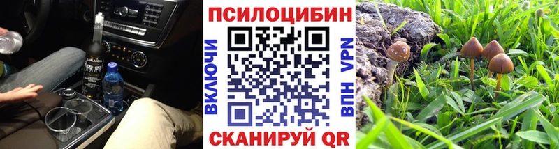 купить  цена  Донецк  Галлюциногенные грибы MAGIC MUSHROOMS 