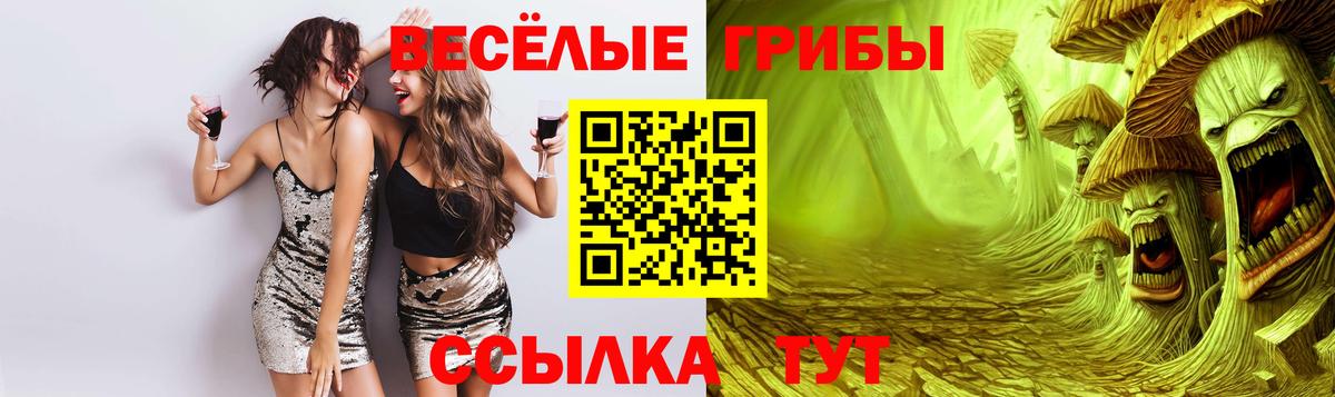 Донецк  Псилоцибиновые грибы прущие грибы  Вход с VPN 
