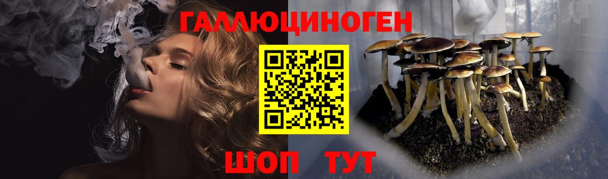 Псилоцибиновые грибы мухоморы  Донецк 